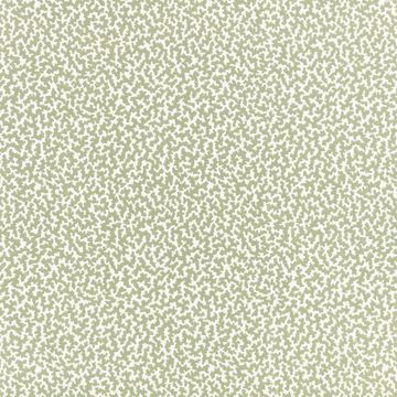 Junie Wallcovering Aloe by Romo - view 2