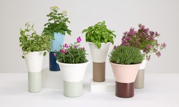 Mimosa - Vases - S•CAB by Scab Giardino spa