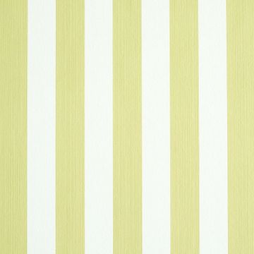 Edwin Stripe Medium Citron by Schumacher