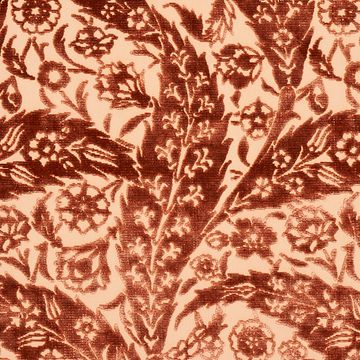 Saz Paisley Silk Velvet Terracotta by Schumacher - view 3