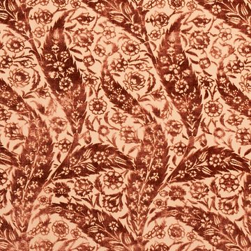 Saz Paisley Silk Velvet Terracotta by Schumacher