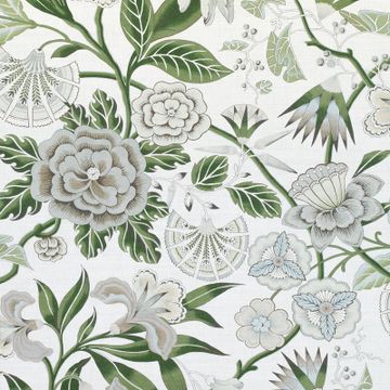 CLEO by Thibaut