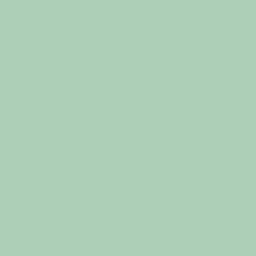 Paint Color Dusty Green #ADCFB8 | VERNICE ITALIA by Vernice