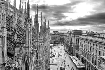 Azienda by Vittoria Frigerio