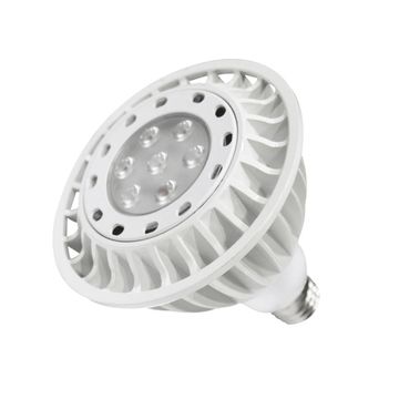 Line Voltage PAR38 18W LED Lamp 3000K by WAC Lighting - view 2