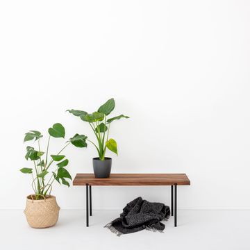 Walnut 01 Bench by Weld & Co