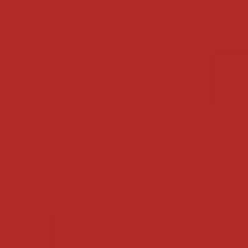 RAL 3016 Coral Red Aerosol Spray Paint 1K/2K 400ml by Your Spray Paints