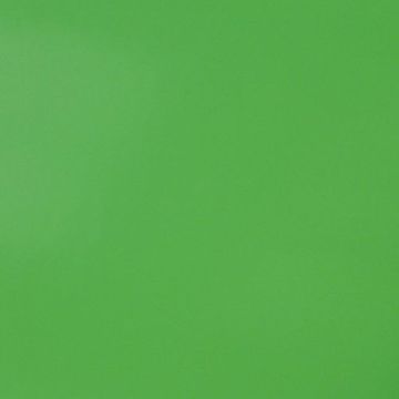 RAL 6019 Pastel Green Aerosol Spray Paint 1K/2K 400ml by Your Spray Paints