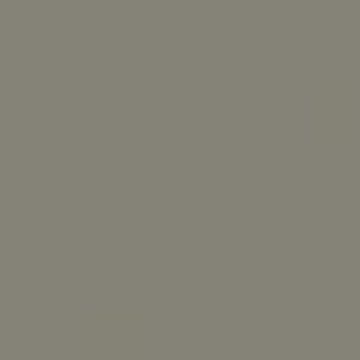 RAL 7048 Pearl Mouse Grey Aerosol Spray Paint 1K/2K 400ml by Your Spray Paints