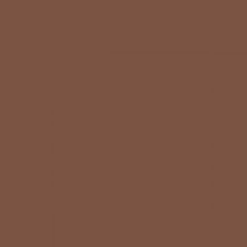 RAL 8002 Signal Brown Aerosol Spray Paint 1K/2K 400ml by Your Spray Paints