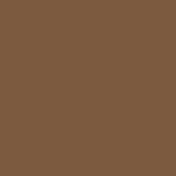 RAL 8024 Beige Brown Aerosol Spray Paint 1K/2K 400ml by Your Spray Paints