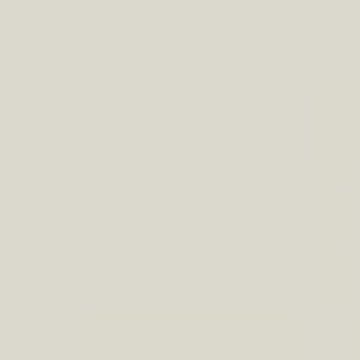 RAL 9002 Grey White Aerosol Spray Paint 1K/2K 400ml by Your Spray Paints