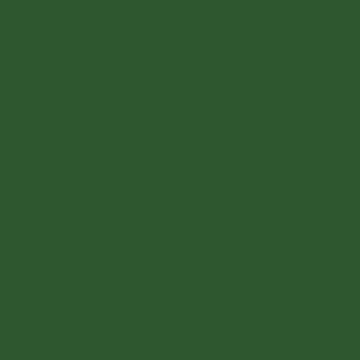 RAL 6002 Leaf Green Aerosol Spray Paint 1K/2K 400ml by Your Spray Paints - view 2