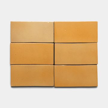 Dorado 4x8 Rectangle by Zia Tile