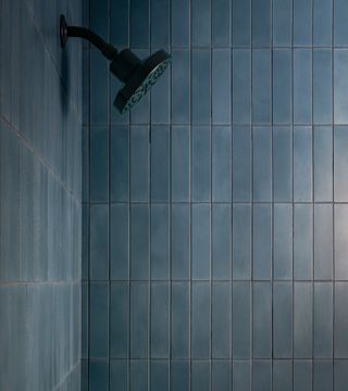Hyannis 2x8 by Zia Tile - view 3