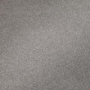 Cortina Wallcovering Tungsten by Zinc Textile - view 2