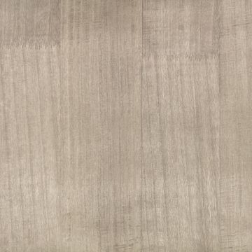 Paulownia Wallcovering Silver Grey by Zinc Textile - view 2