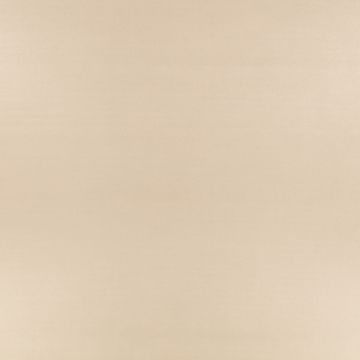 Sueded Wallcovering Mink by Zinc Textile - view 2