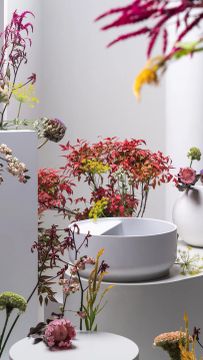 Beam Washbasin by ZUCCHETTI