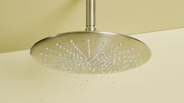 Shower Shower by ZUCCHETTI