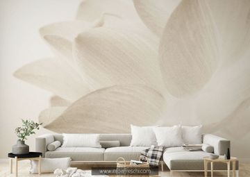 AY 086 by Affreschi & Affreschi