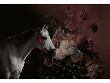 HORSES - Digital printing wallpaper by Architects Paper