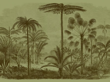 JURASSIC - Digital printing wallpaper by Architects Paper