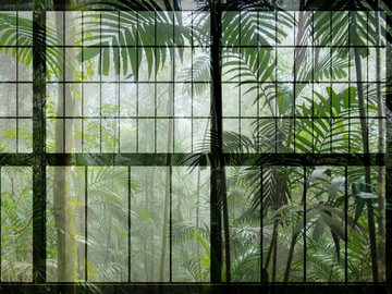 RAINFOREST - Digital printing wallpaper by Architects Paper