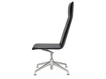 FINASOFT - Leather executive chair with 4-spoke base by Brunner