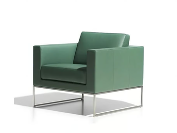 DS-160 - Sled base leather armchair with armrests by de Sede