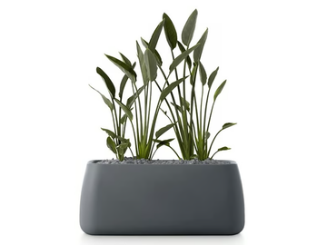 GOBI 5 - Rectangular planter by Diabla