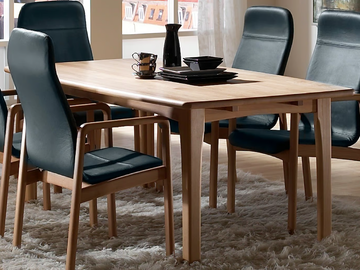 9249 - Rectangular table by Dyrlund