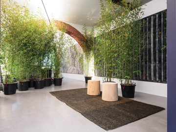 COCONUTRUG I GLASSATI - Natural fibre rug by G.T.DESIGN