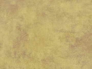 PITTURA - Nonwoven wallpaper by Jannelli&Volpi