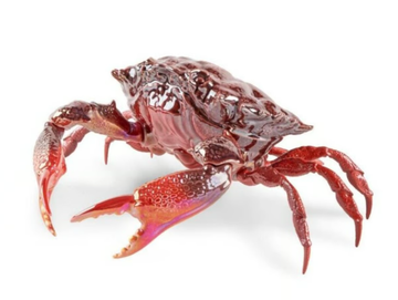 CRAB - Porcelain decorative object by Lladró