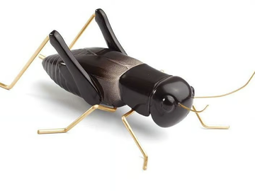 CRICKET BLACK - Contemporary style ceramic decorative object by Mambo Unlimited Ideas