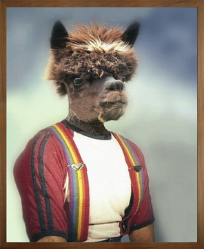 ANTHONY ALPACA - Canvas print by Mineheart