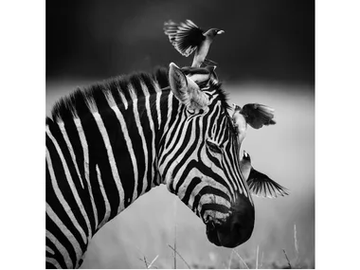 LB-009 - Author made artistic print by MOMENTI