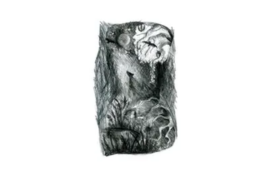 DARK FOREST - Tapestry by Moroso