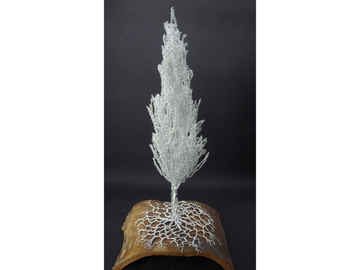 CYPRESS - Aluminium and olive wood sculpture by Mosche Bianche