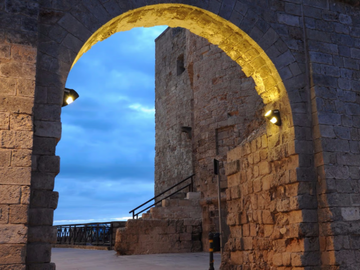 TYL - Outdoor wall Lamp by Neri