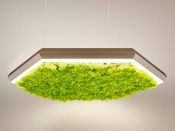 EXAGON SILENCE GREEN - LED Lichen pendant lamp by Olev