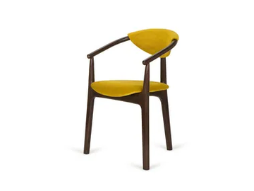 EVO B-2944 - Beech chair with armrests by Paged