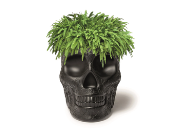 MEXICO - Polyethylene garden vase by Qeeboo