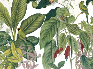 ANDAMAN COULEUR - Landscape wallpaper by Ressource