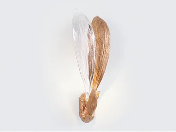 DANDELION CYPSELA DUO - LED handmade bronze wall lamp by Serip