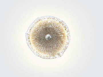 NENUFAR AURA MEDIUM - Handmade bronze wall light by Serip