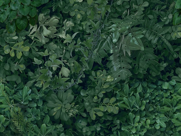 GREEN WALL - Indoor porcelain stoneware wall tiles by STON