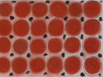 DIARI 4 - Motif Ecological wallpaper by STYL’EDITIONS