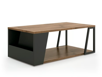 ALBI - Low wooden coffee table with integrated magazine rack by Temahome